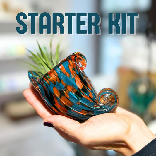 STARTER KIT NAUTILUS + Piantine