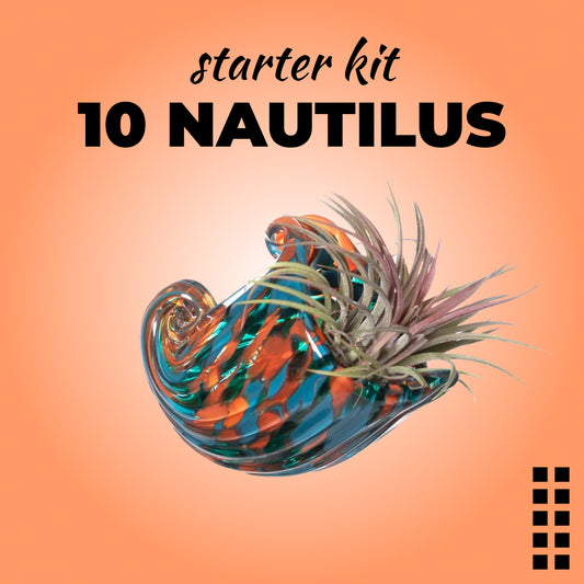 STARTER KIT - 10 NAUTILUS + 10 Piantine