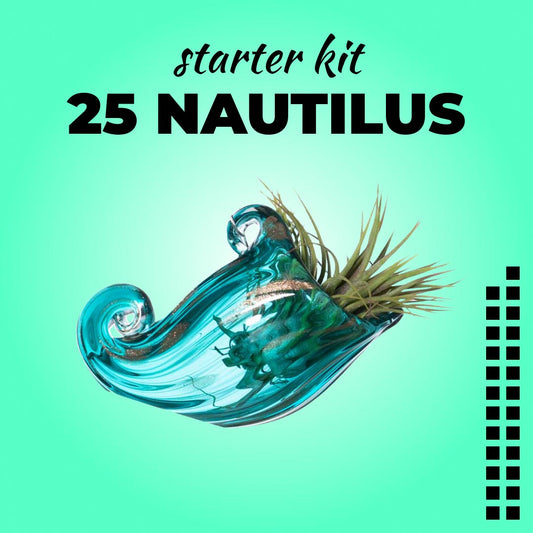 STARTER KIT - 25 NAUTILUS + 25 Piantine